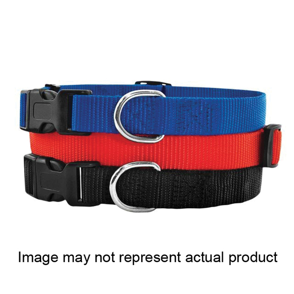 Westminster Pet Products Adjustable Nylon Dog Collar 31441
